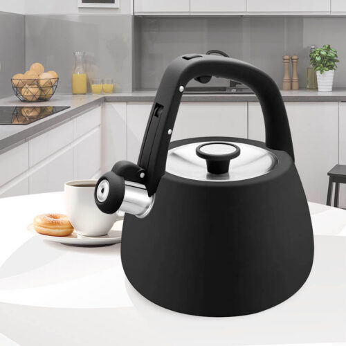 Ceainc MR-1318BLACK / Чайник